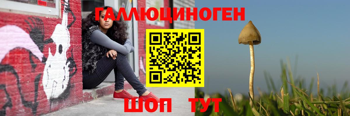 Псилоцибиновые грибы прущие грибы  Псилоцибиновые грибы Psilocybine cubensis  Солнечногорск  как найти наркотики  Вход с VPN 